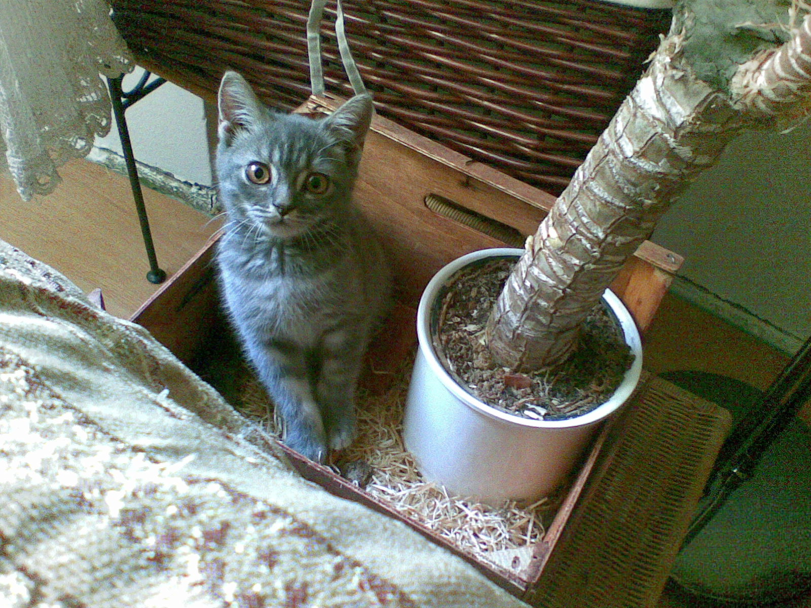 01082009(003).jpg